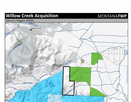 LETTER: MT BHA Supports Mt. Haggin WMA Addition to Land Board