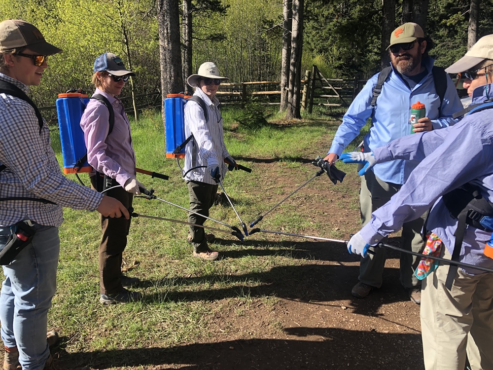EVENT RECAP: Webb Lake Weeds Trip
