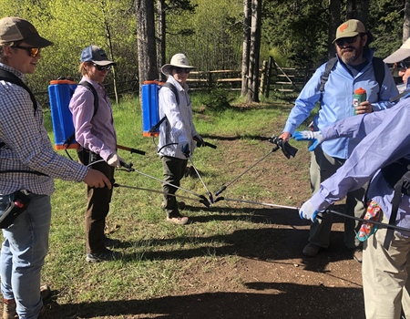EVENT RECAP: Webb Lake Weeds Trip