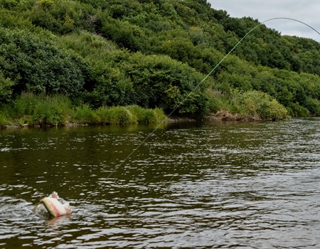 Colorado Backcountry Hunters & Anglers  Appoint Phil Armstrong Roaring Fork/Eagle Valley  Group Assistant Regional Director