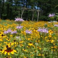 $25 Million Dedicated to Indiana Conservation