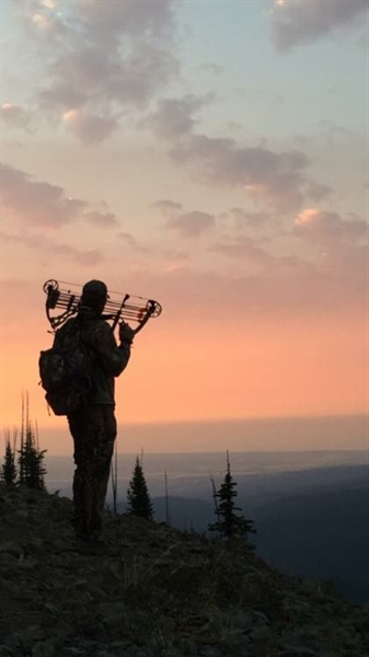 Wildlife commission OKs free elk tags for 28 landowners under revised process