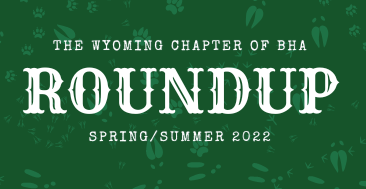 Wyoming Spring/Summer Newsletter 2022