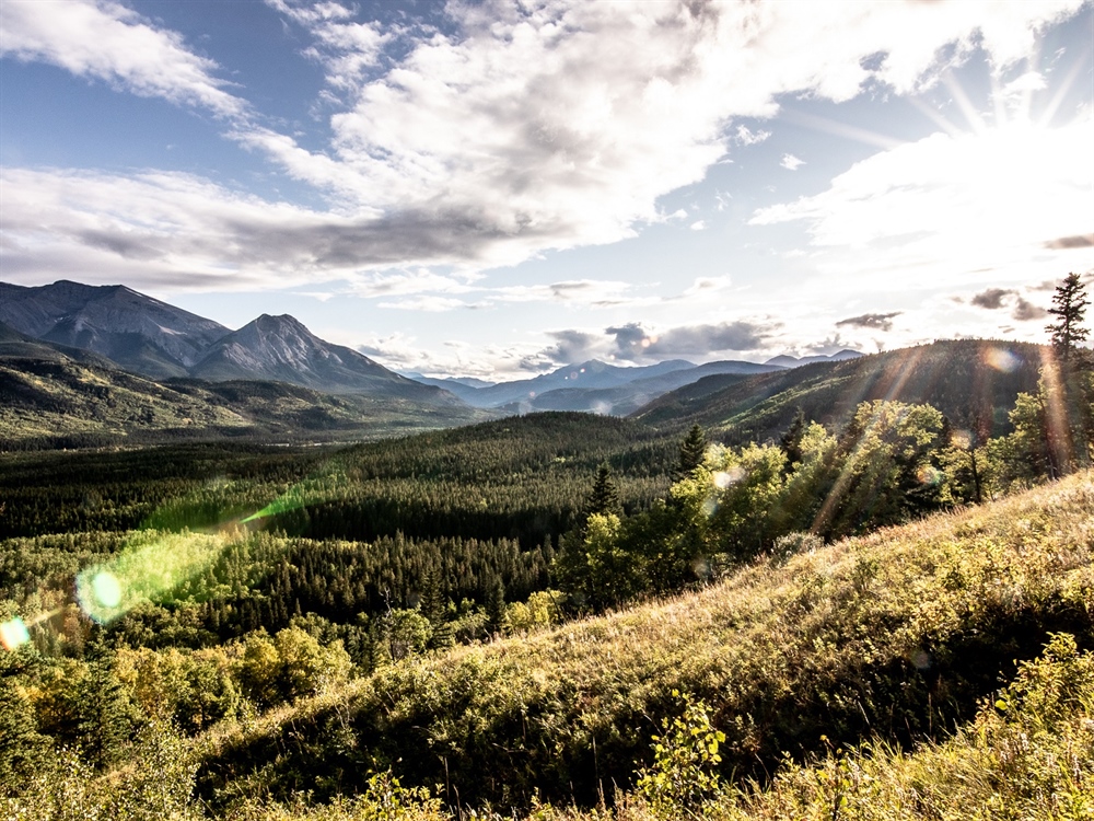 Why do we want to Keep Elk Public?