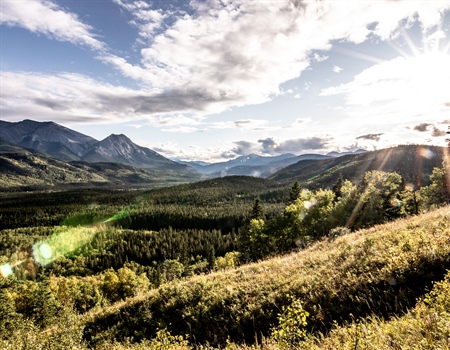 Why do we want to Keep Elk Public?