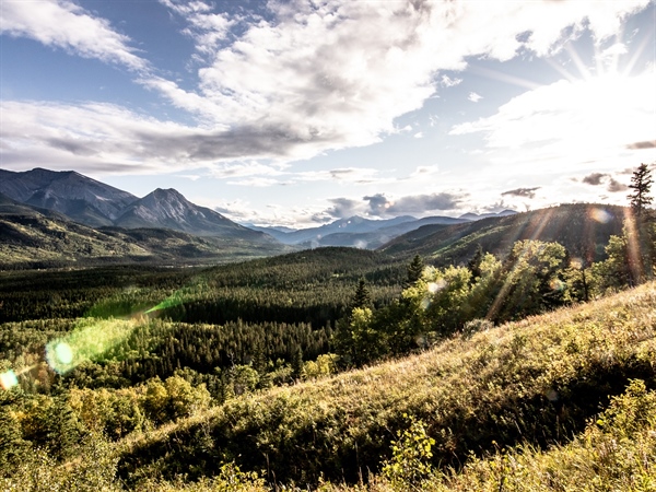 Why do we want to Keep Elk Public?
