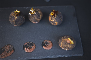 6th Annual Field to Table Dinner: A Celebration of Wild Food