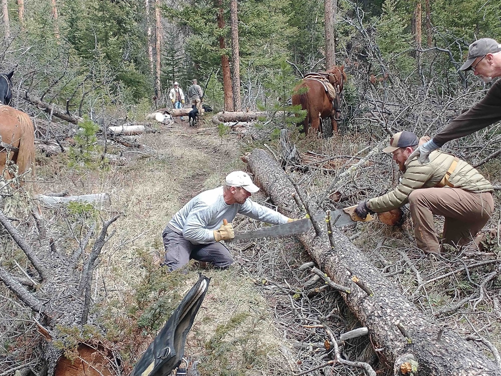 Little Sunlight Trail Clearing Effort A Success