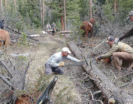 Little Sunlight Trail Clearing Effort A Success