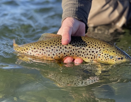 Coalition renews request for fisheries task force as drought worsens
