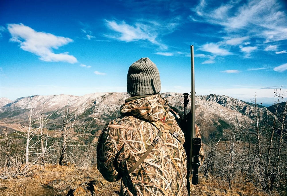“Bulls for Billionaires.” Are Montana’s 454 Permits a Step Toward Privatizing the State’s Elk Herd?