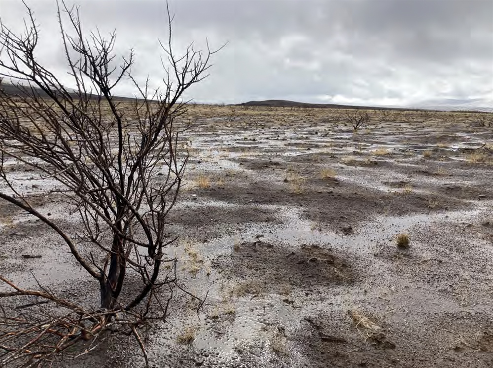 BHA Awarded $165K for Post-fire Rehabilitation and Connectivity in California