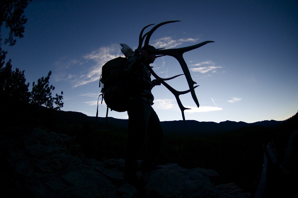 Montana Property Owners File Lawsuit to Force FWP to “Remove, Harvest, or Eliminate Thousands of Elk”