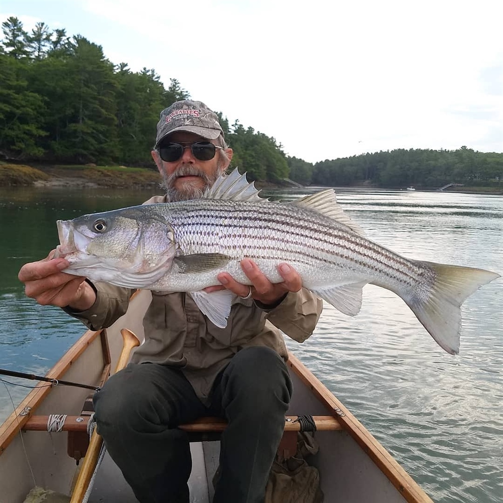 Striped Bass Amendment 7: ASMFC Spring Meeting Recap