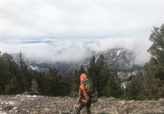 Colorado Chapter Engages on GPS Points Bill