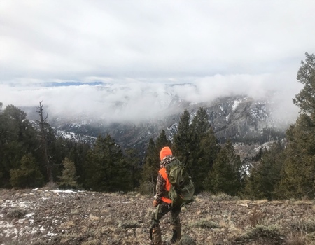 Colorado Chapter Engages on GPS Points Bill