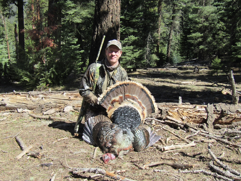 Hunting Educated Mountain Merriam’s And Elk Herd/Hunting Trends (& Cinco de Mayo)