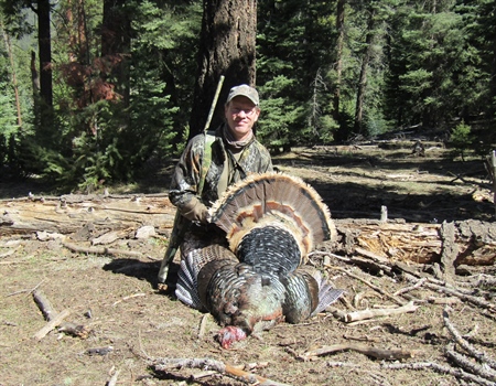 Hunting Educated Mountain Merriam’s And Elk Herd/Hunting Trends (& Cinco de Mayo)