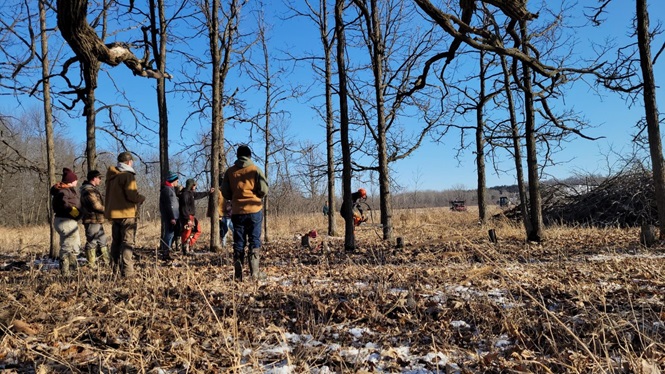 Stevens Point Students Collaborate on Wetland Restoration Efforts