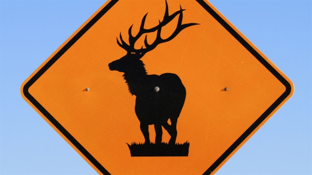 WY Update: Elk Feedgrounds