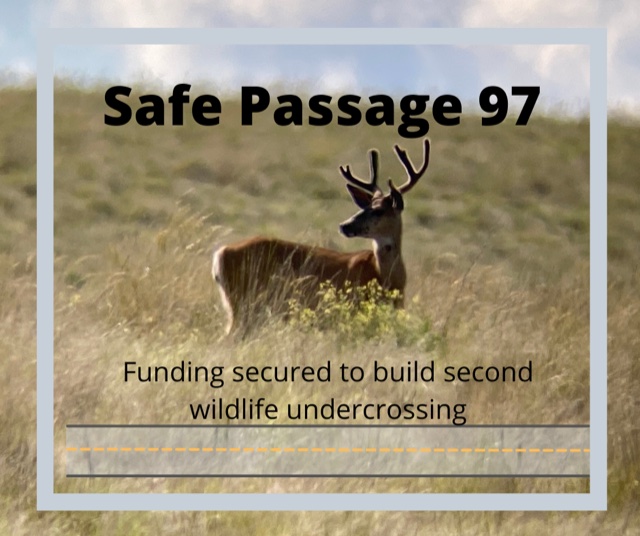 Safe Passage 97 Update