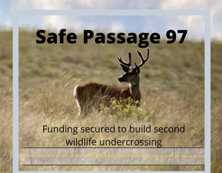 Safe Passage 97 Update