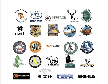 BHA Compiles Scientific Data in Report to CDFW on Bear Ban Petition