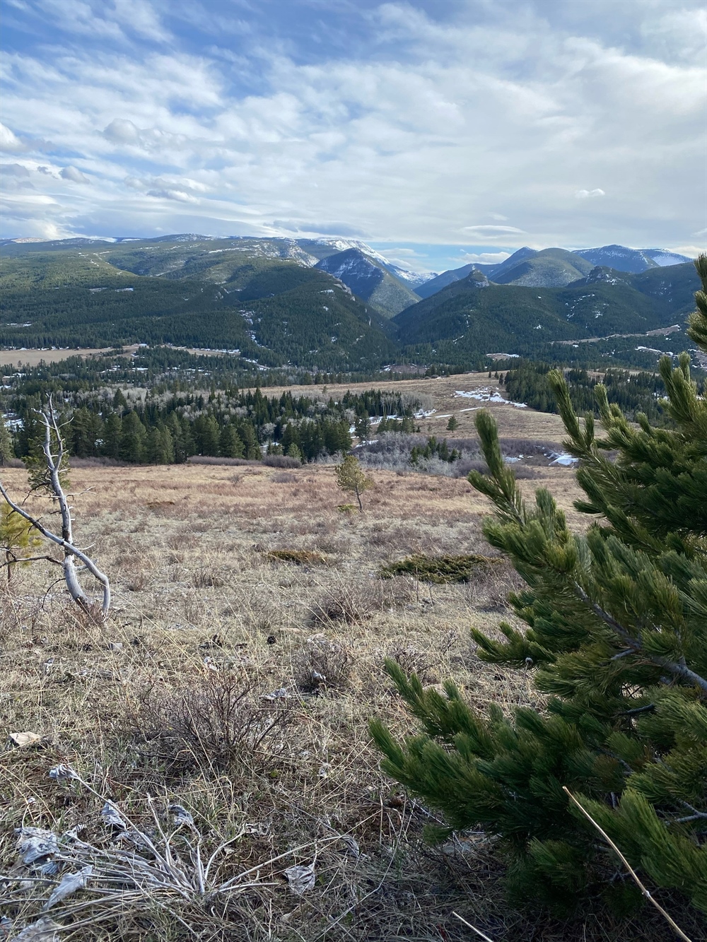 LETTER: Montana BHA Supports Big Snowy Mountains WMA Acquisition
