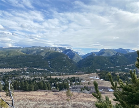LETTER: Montana BHA Supports Big Snowy Mountains WMA Acquisition