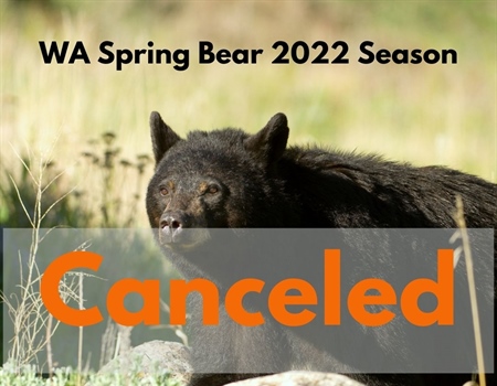 Spring Bear is only the Beginning