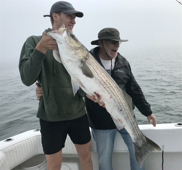 Striped Bass Conservation: Amendment 7 Priorities