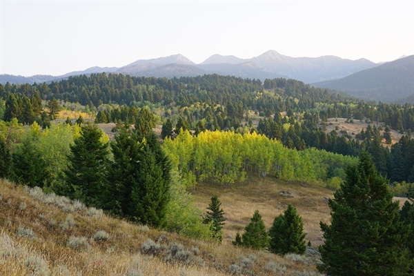 Forest Service defends cutting access to Mont. trails