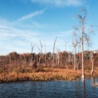 New Pine Tree agreement benefits public and wildlife