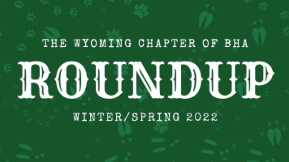 Wyoming Winter/Spring Newsletter 2022