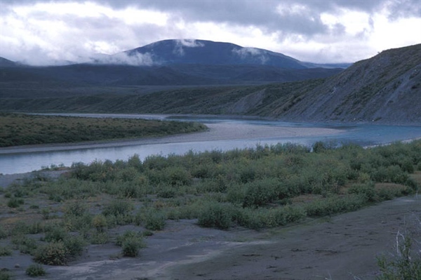 Alaska BHA Comments on WSA21-01