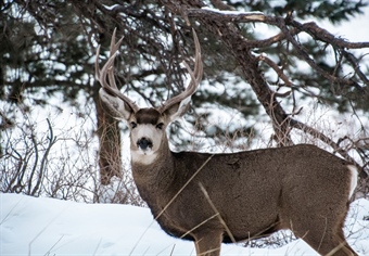 National Wildlife Refuges: A Hunting and Fishing Perspective