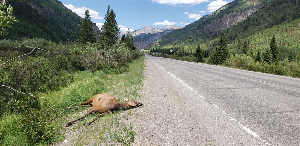 Colorado Legislature Considers Crossings Bill