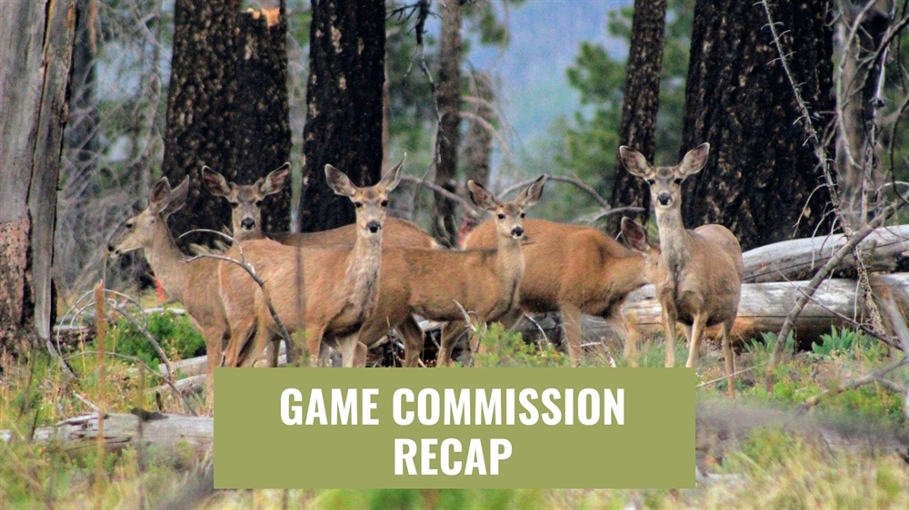 3/4/22 NMDGF Game Commission Recap