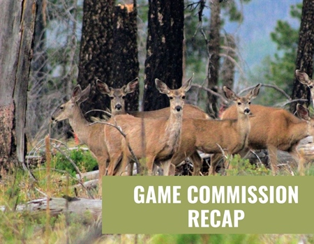 3/4/22 NMDGF Game Commission Recap