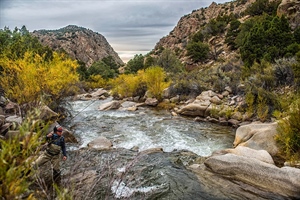 New Mexico Supreme Court Rules in Favor of Public Access to State Waters