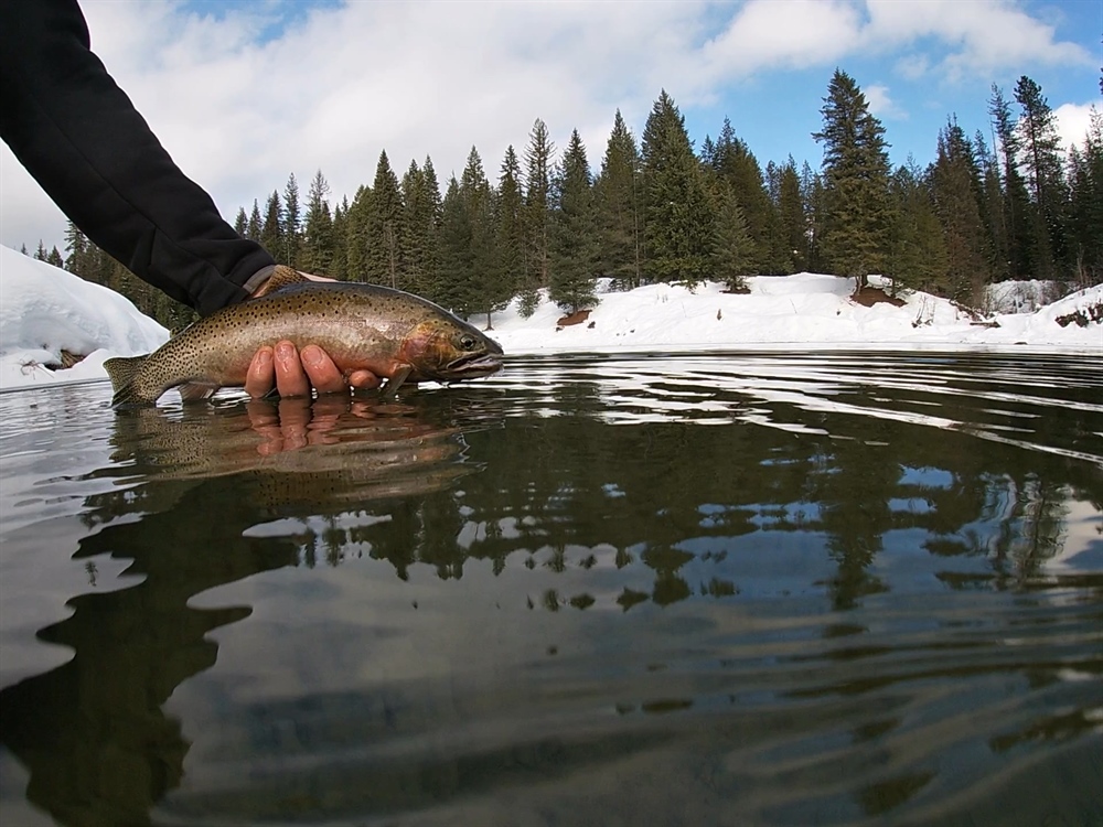 Idaho BHA supports the Priest River Project