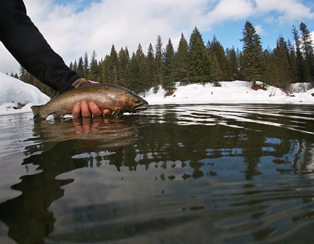 Idaho BHA supports the Priest River Project