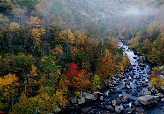 Help Stop Legislation to Expand OHV Use on State Lands