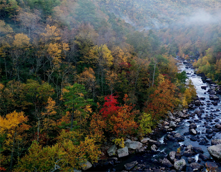Help Stop Legislation to Expand OHV Use on State Lands
