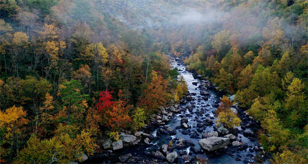 Help Stop Legislation to Expand OHV Use on State Lands