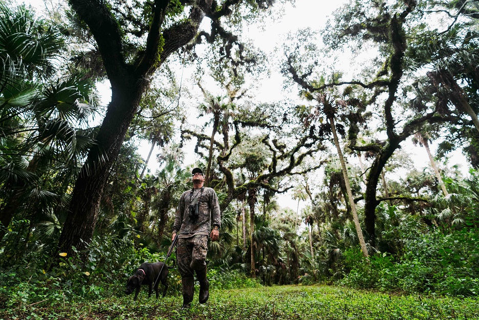 Support HB 1147 and Year-round Hunting and Trapping of Raccoons and Possums