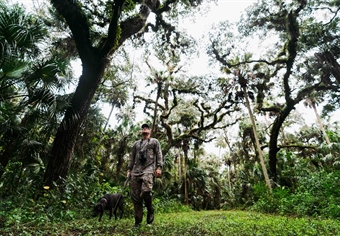 Support HB 1147 and Year-round Hunting and Trapping of Raccoons and Possums