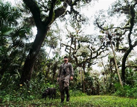 Support HB 1147 and Year-round Hunting and Trapping of Raccoons and Possums