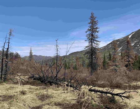 Fuller Lakes Trail- Kenai National Wildlife Refuge