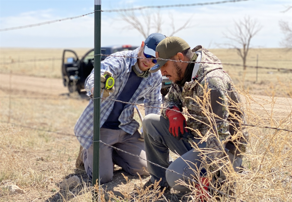 Kiowa National Grasslands - A Hidden Gem